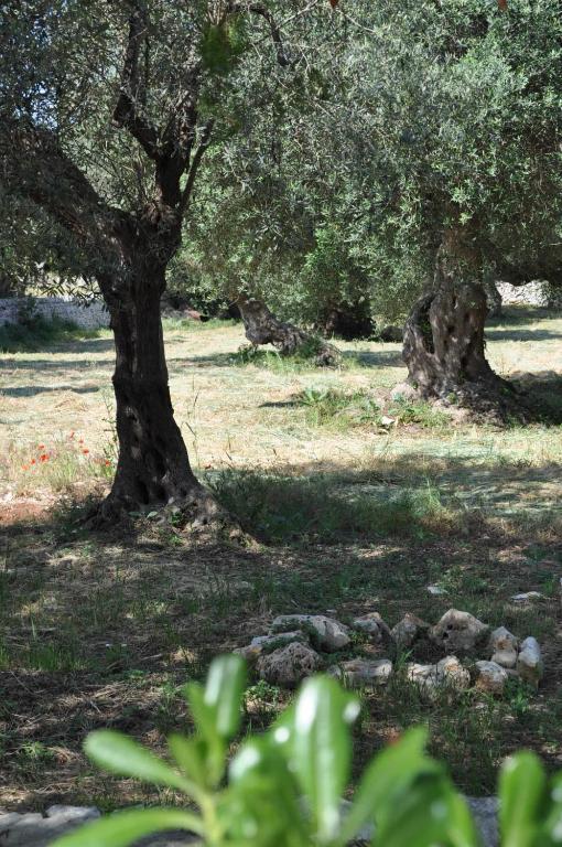 بوتينيانو Masseria Costanza المظهر الخارجي الصورة